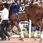 【かしわ記念2026予想】マイル対応が鍵を握る！真価問われるミッキーファイト