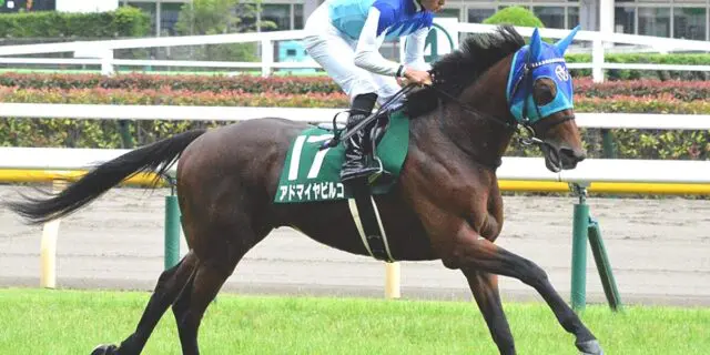【JRA】アドマイヤビルゴが引退、今後は乗馬に
