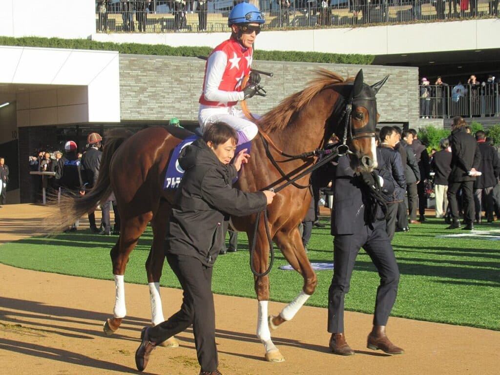 【JRA】アルテヴェローチェはチャーチルダウンズCへ、佐々木大輔騎手と再コンビ