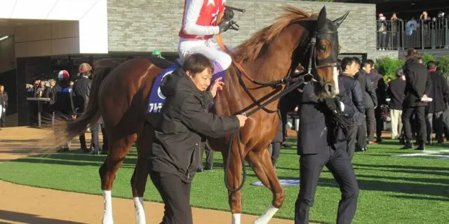 【シンザン記念2025予想】実績上位のアルテヴェローチェ、信頼度はいかに？