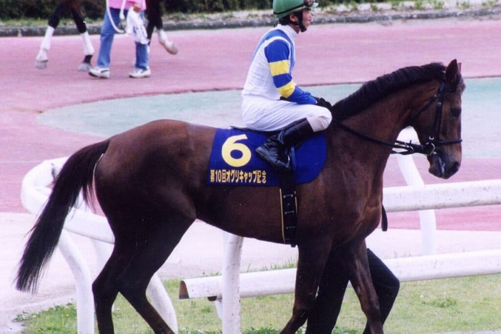 ファストフレンドが老衰で死亡、31歳