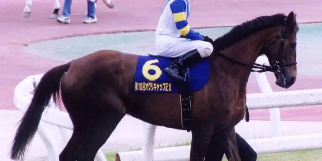 ファストフレンドが老衰で死亡、31歳