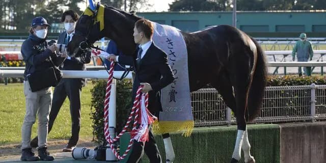 【根岸S2025予想】疲れ知らずのタフネスさが魅力、フリームファクシ✕M.デムーロ騎手