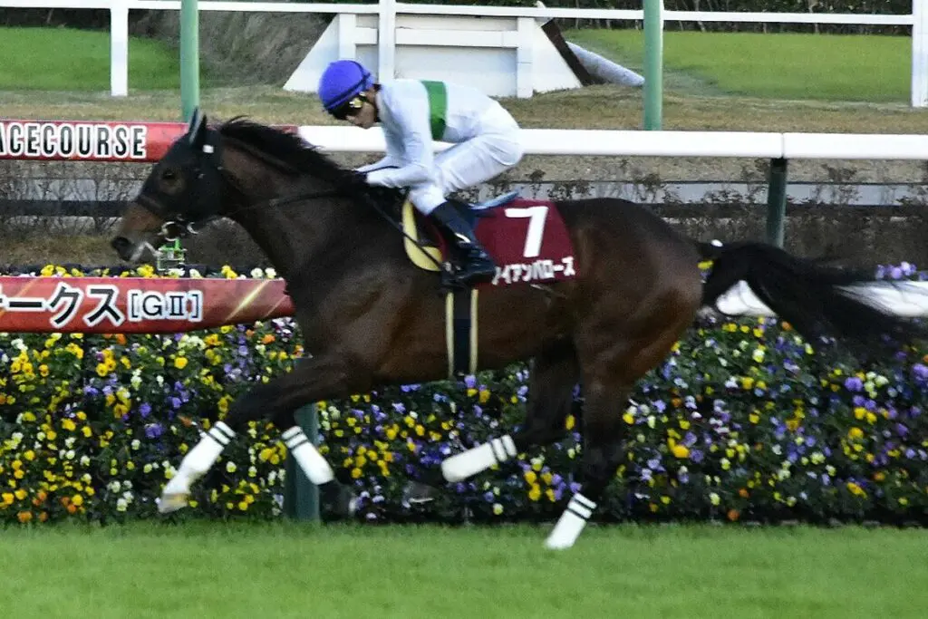 【JRA】2023年のステイヤーズS覇者アイアンバローズが死亡