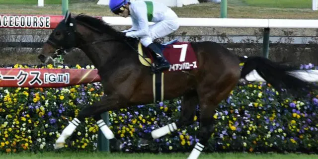 【JRA】2023年のステイヤーズS覇者アイアンバローズが死亡