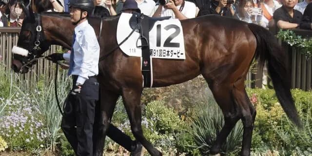 【安田記念2025予想】中山以外は割引きか？シックスペンス、条件好転も懸念残る一戦