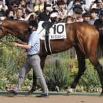 サンライズジパングは有馬記念参戦、不完全燃焼のチャンピオンズCから反撃なるか？