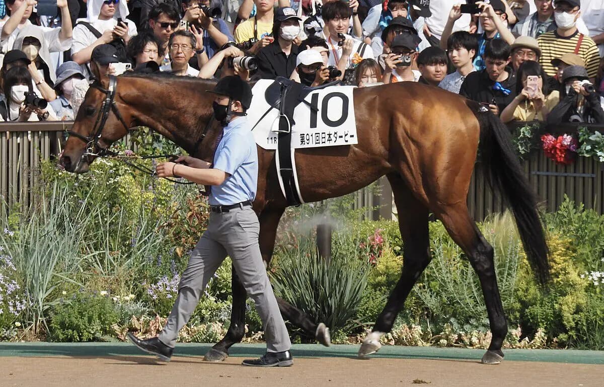 サンライズジパングが帝王賞を回避、暑さを考慮