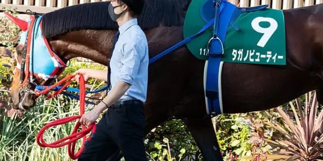 【JRA】タガノビューティーが現役引退、今後は種牡馬に