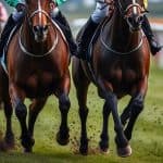 【シルクロードS予想2026】高松宮記念へのステップ第1弾！エーティーマクフィやヤブサメなど出走予定馬を考察