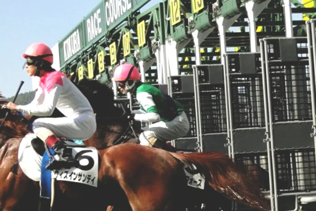 【福島記念2025予想】「内枠」「軽ハンデ」「ベテラン勢」に注目！