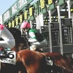 【福島記念2025予想】「内枠」「軽ハンデ」「ベテラン勢」に注目！