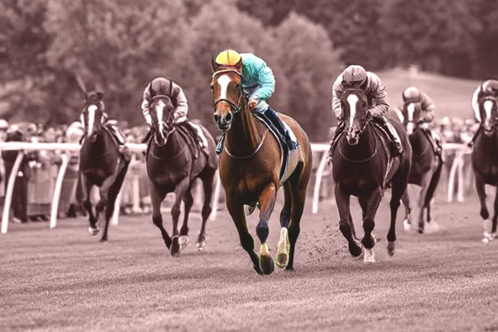 【JRA弥生賞ディープインパクト記念2025】三強で決着なるか？穴馬で狙うならファウストラーゼン