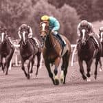 【ステイヤーズS予想2025】傾向から導き出す勝ち馬候補4頭とは？