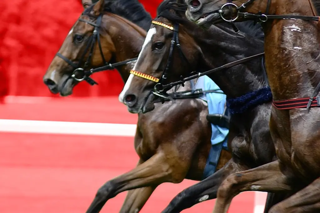 【マイルCS予想2025】ソウルラッシュ連覇か？ジャンタルマンタル戴冠か？群雄割拠のマイル王決戦