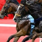 【デイリー杯2歳S予想2025】アドマイヤクワッズVSガリレア、有力2頭が中心