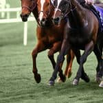 【みちのくS予想2025】復調気配のレッドヒルシューズが再び上位争いへ