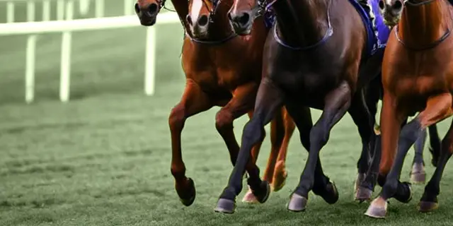 【みちのくS予想2025】復調気配のレッドヒルシューズが再び上位争いへ