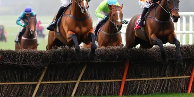 【牛若丸ジャンプS予想2026】次なる障害界の主役は誰だ？注目の3頭