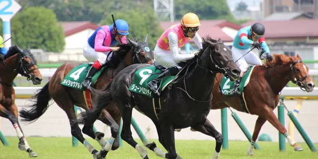 【阪神ジャンプS予想2025】ジューンベロシティの一強ムード、相手探しの一戦か