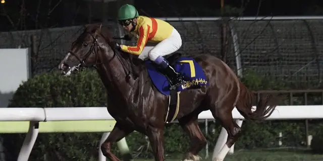 【JRA】逃げの道を貫き通したミトノオー、現役引退