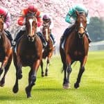 【高松宮記念2026予想】春のスプリント王決定戦！サトノレーヴやナムラクレアなど出走予定馬を考察