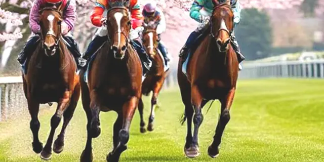 【高松宮記念2025予想】春のスプリント王決定戦！ナムラクレアやサトノレーヴなど出走予定馬を考察