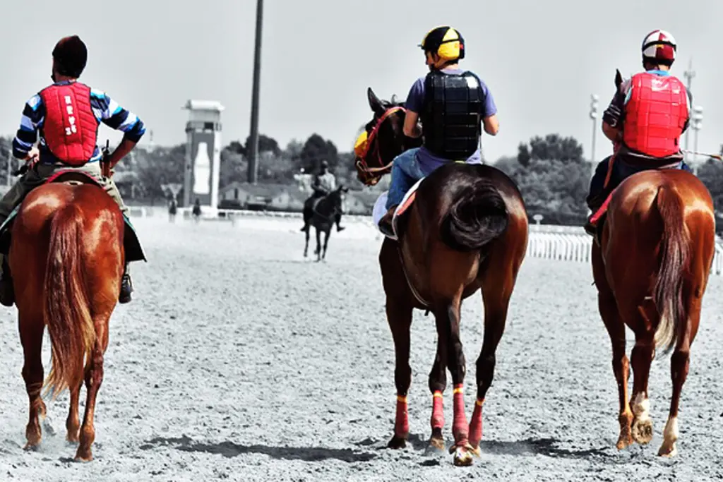 【大阪杯2025予想】関西馬の連勝なるか？狙い目の3頭をピックアップ