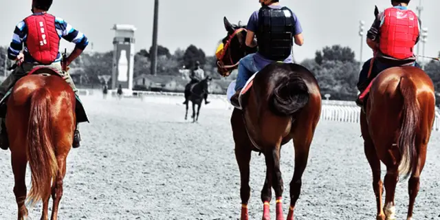 【大阪杯2025予想】関西馬の連勝なるか？狙い目の3頭をピックアップ