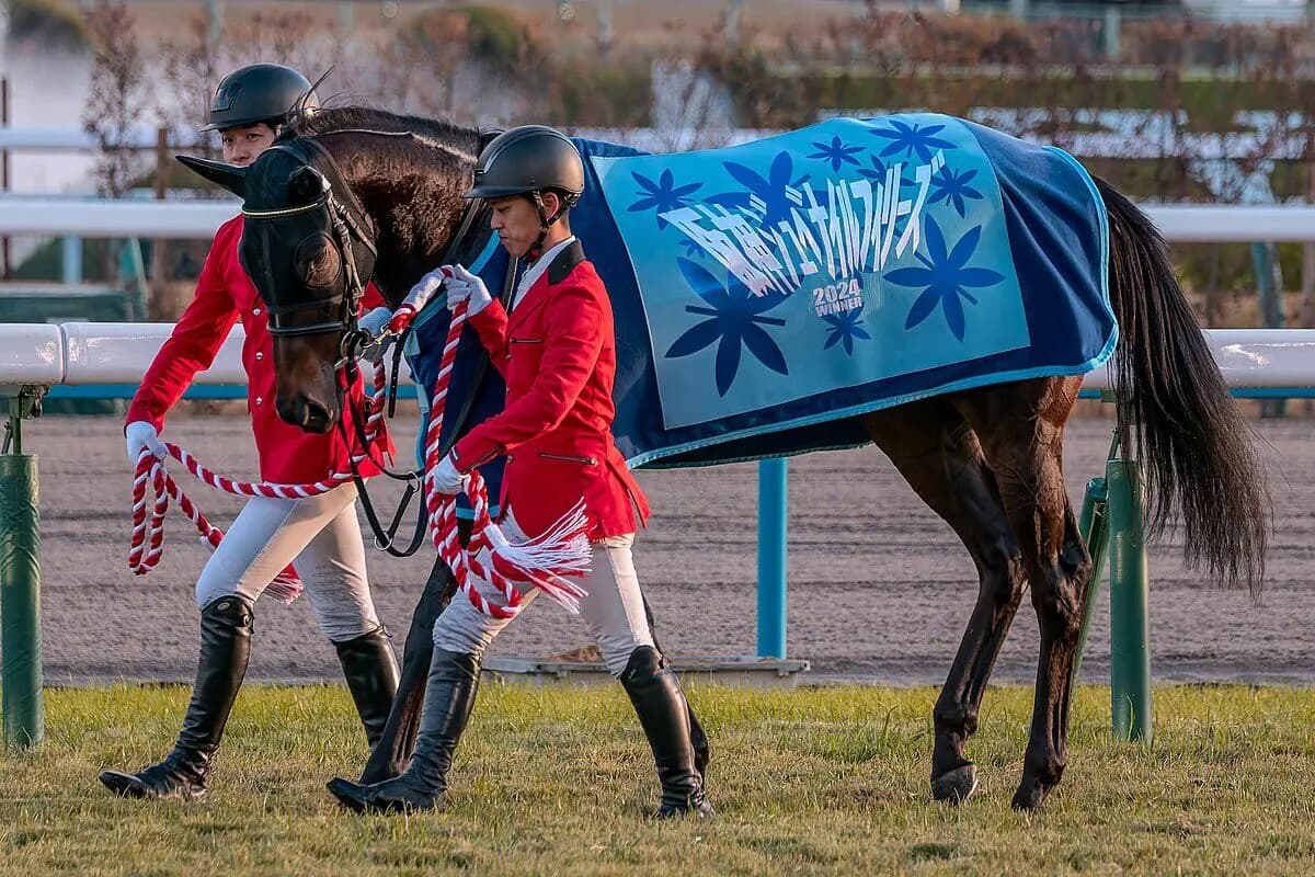 【JRA】アルマヴェローチェが骨折判明、秋華賞目標は変わらず