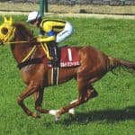 【大阪杯2026予想】ボルドグフーシュ、舞台適性を生かして巻き返しの条件揃う