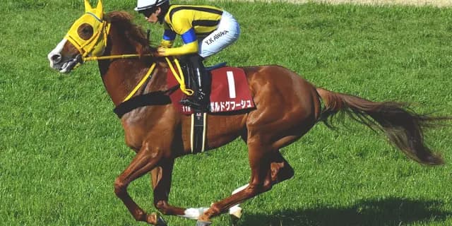 【JRA大阪杯2025予想】条件揃った伏兵、ボルドグフーシュ✕吉田隼人騎手