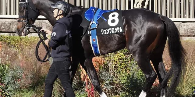 【マイラーズC予想2025】開幕週の高速馬場ならジュンブロッサム、条件好転での反撃に期待