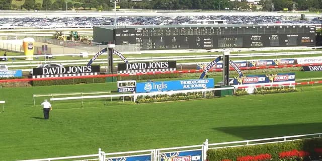 【クイーンエリザベスS予想2025】秋の中距離王を決める豪州G1！ヴィアシスティーナやローシャムパークなど出走予定馬を考察