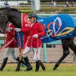 【有馬記念2025予想】ミュージアムマイルが1週前追い切りで自己ベストを1秒以上更新