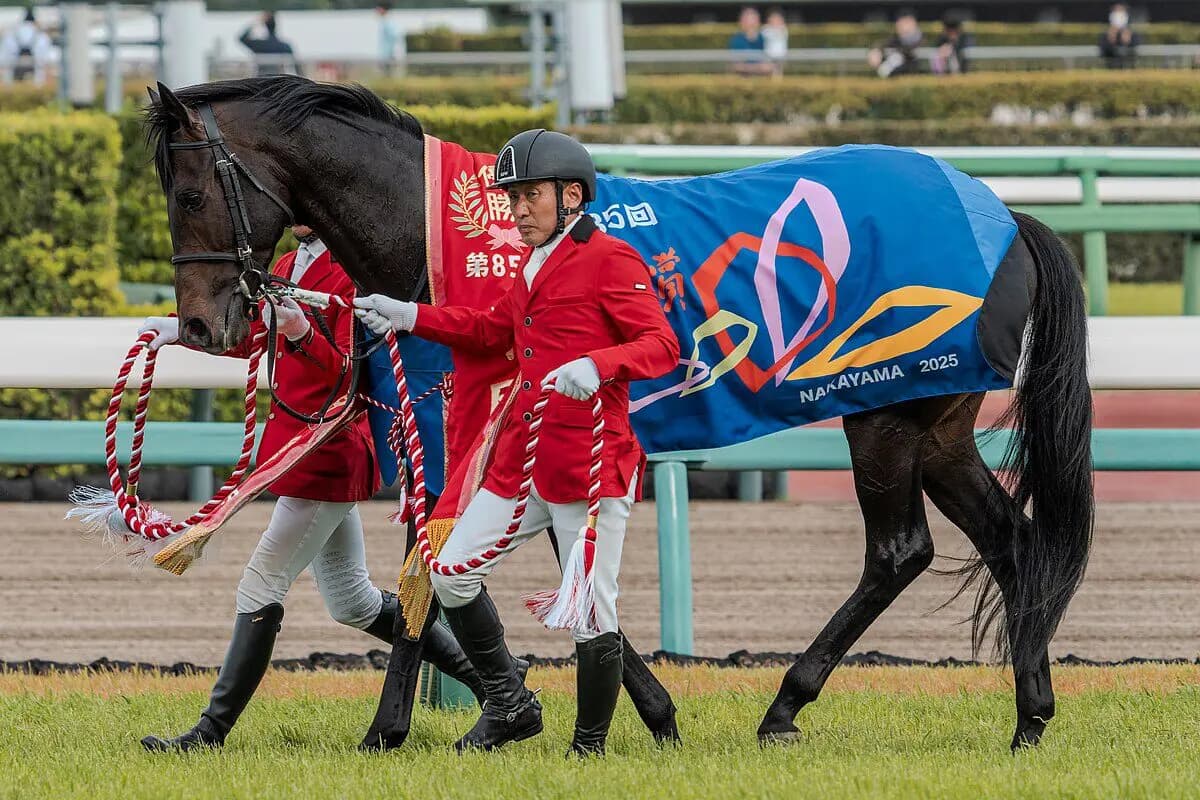 【JRAセントライト記念2025】ミュージアムマイル、ダービー敗退の理由は距離か舞台か？中山で答え出す