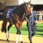 【サウジ1351ターフスプリント2026】パンジャタワーが国内最終追いで万全態勢