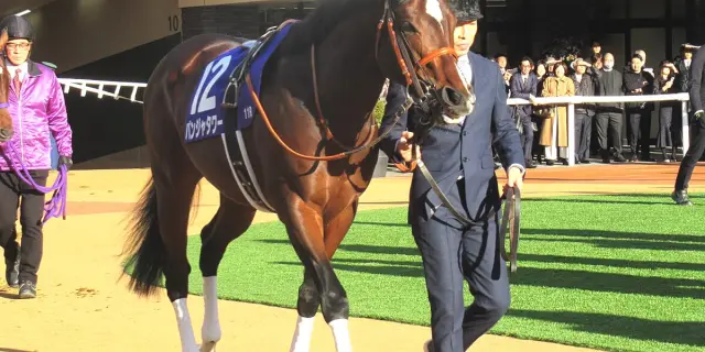 【JRA】パンジャタワーはキーンランドCから豪州の高額レース・ゴールデンイーグルへ