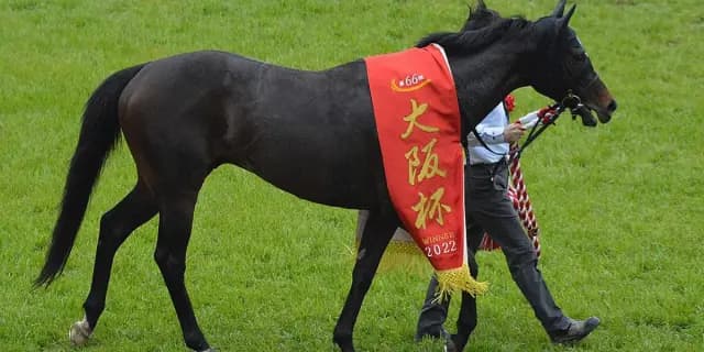 ポタジェはかしわ記念で競走中止、右前肢ハ行