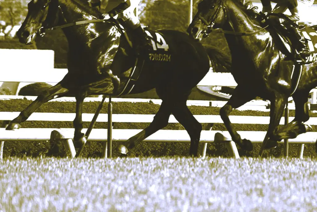 【しらさぎS予想2025】波乱含みの新設重賞！混戦模様に浮かぶ4頭の有力馬