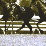 【若駒ステークス予想2026】ディープインパクト以来の大物誕生なるか？