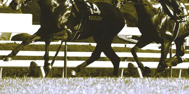 【若駒ステークス予想2026】ディープインパクト以来の大物誕生なるか？