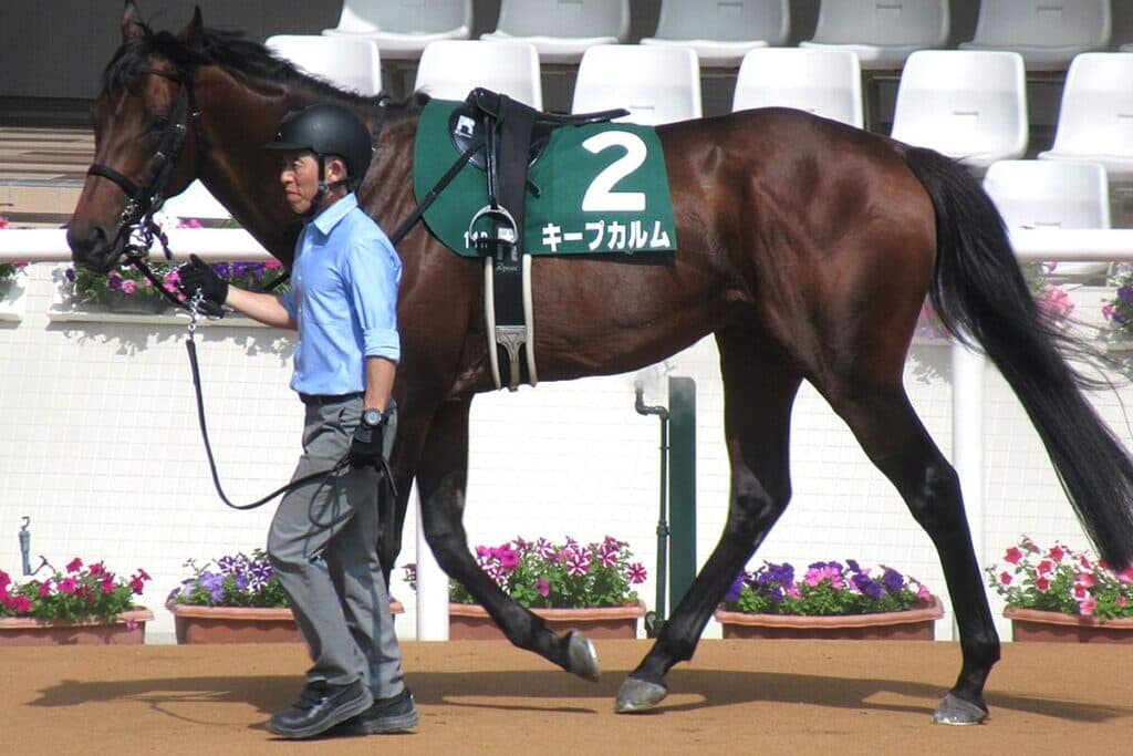 しらさぎS初代王者キープカルムは中京記念へ、僚馬コレペティトールも参戦