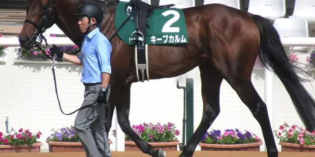 しらさぎS初代王者キープカルムは中京記念へ、僚馬コレペティトールも参戦