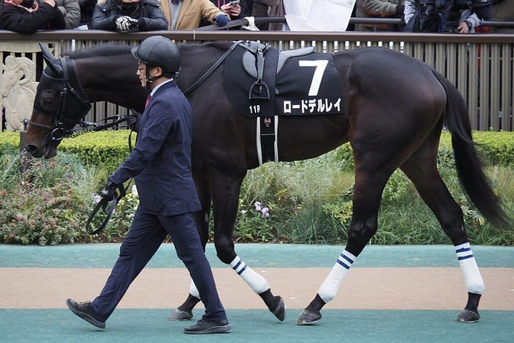 【宝塚記念2025予想】道悪未経験でも買えるのか？ロードデルレイ試金石