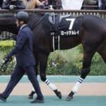 【香港カップ2025】ロードデルレイが回避、右前肢のハ行発症のため