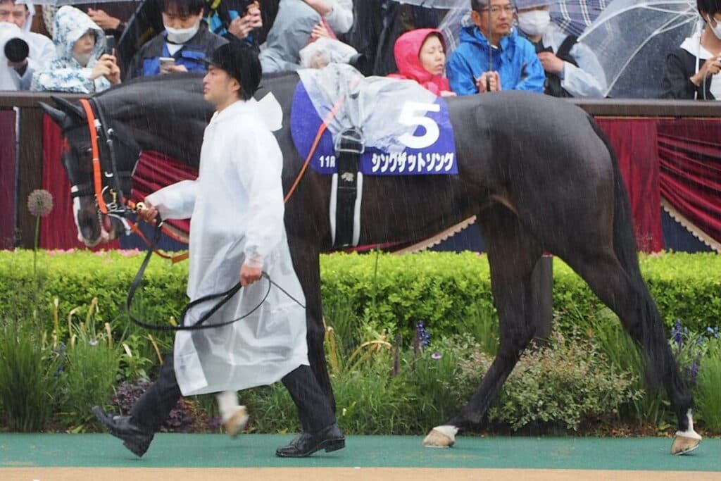 【府中牝馬S予想2025】シングザットソング試金石、1800mでも買えるのか?