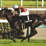 【安田記念2026】トロヴァトーレ1週前追い切りで迫力十分！マイル王へ態勢整う