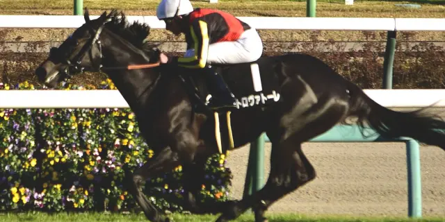 【安田記念2025予想】青葉賞の雪辱なるか？横山武史✕トロヴァトーレ、再タッグでG1獲りへ