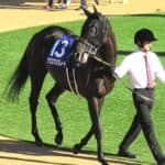 【福島記念2025予想】クリスマスパレードは戸崎圭太騎手との新コンビで反撃へ、小回り福島は好相性